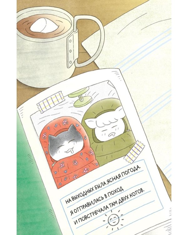 Кот идет в поход