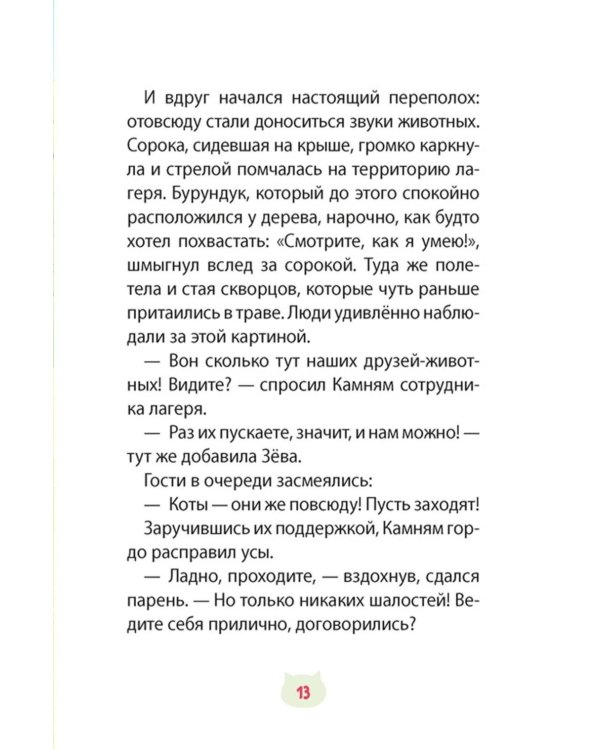 Кот идет в поход