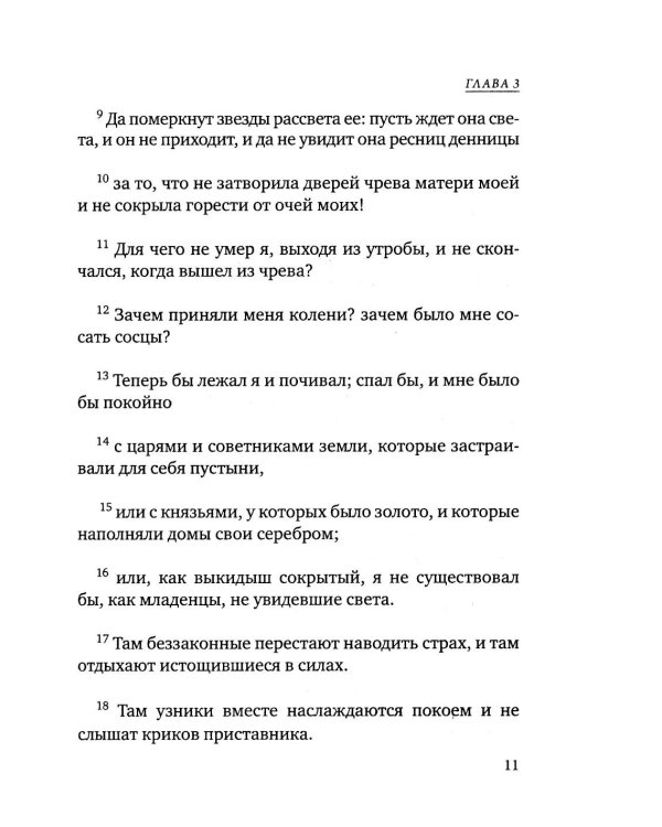 Дополнительное изображение книги «Книга Иова»