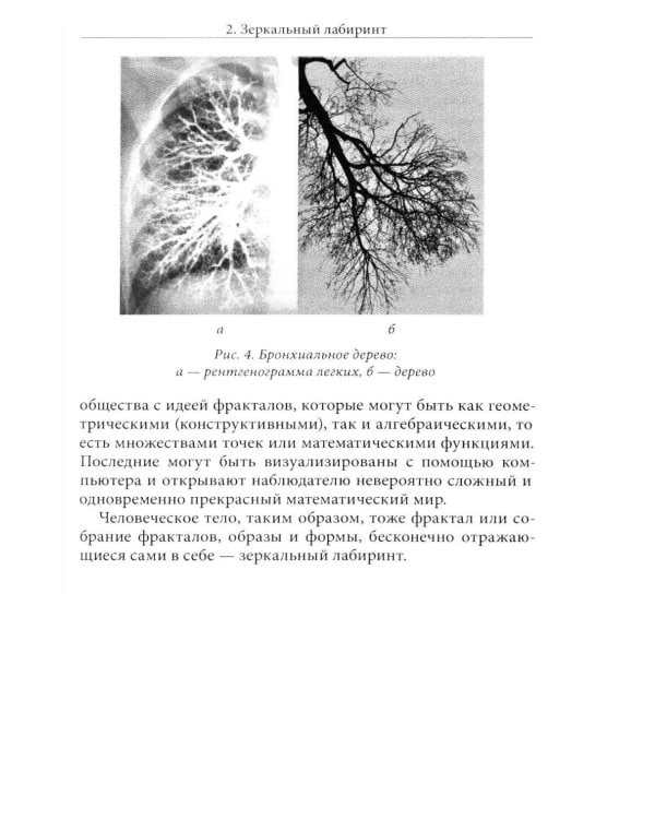 Дополнительное изображение книги «Исцеляющее искусство. Записки эвритмиста»