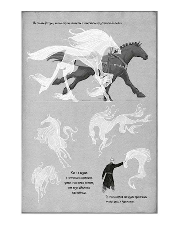 Дополнительное изображение книги «Архив Буресвета. Кн. 5. Ветер и Правда. Т. 1»