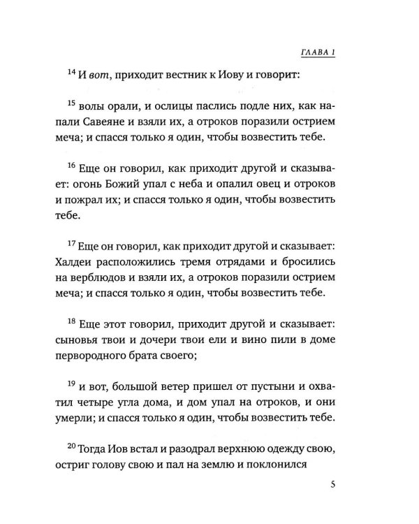 Дополнительное изображение книги «Книга Иова»