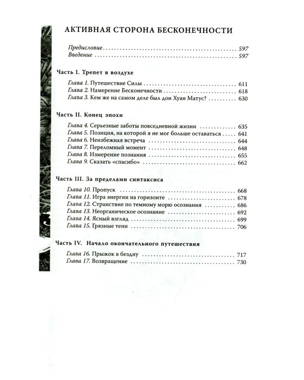 Дар Орла. Огонь изнутри. Сила безмолвия. Искусство сновидения. Активная сторона бесконечности. Том 2