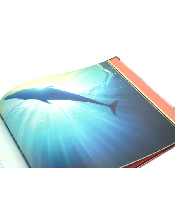 Путь ко Христу