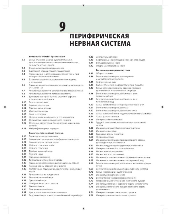 Неврология. Атлас с иллюстрациями Неттера