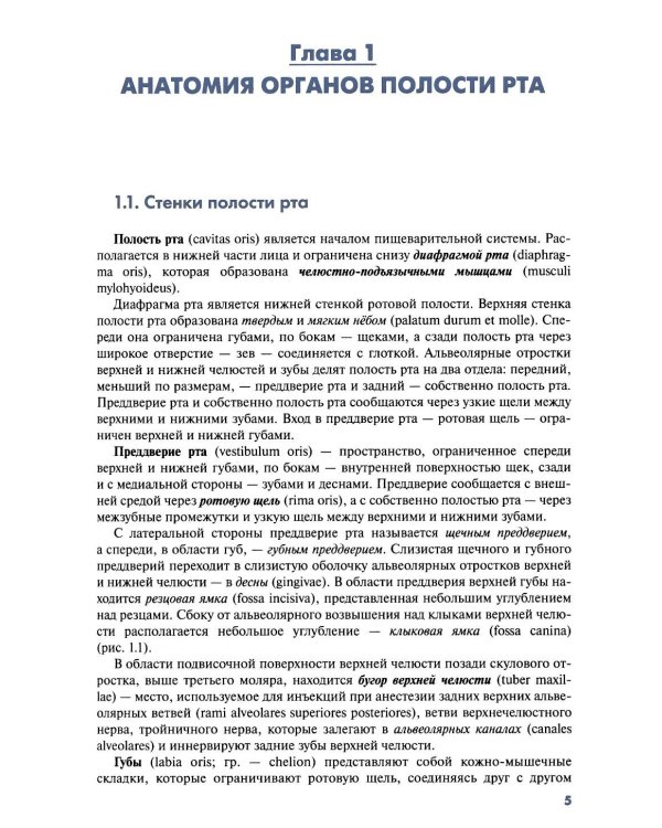 Клиническая морфология органов полости рта человека: Учебное пособие для вузов