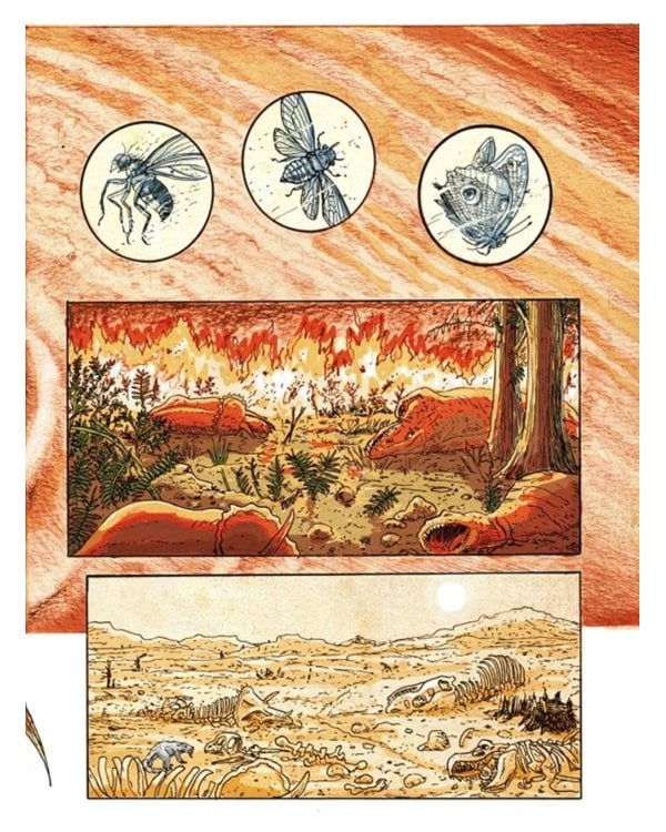 Инсектополис: история насекомых от Большого взрыва до наших дней