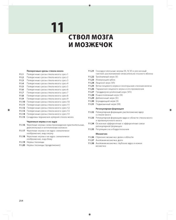 Неврология. Атлас с иллюстрациями Неттера