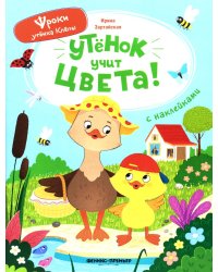Утенок учит цвета!: книжка с наклейками