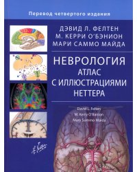 Неврология. Атлас с иллюстрациями Неттера