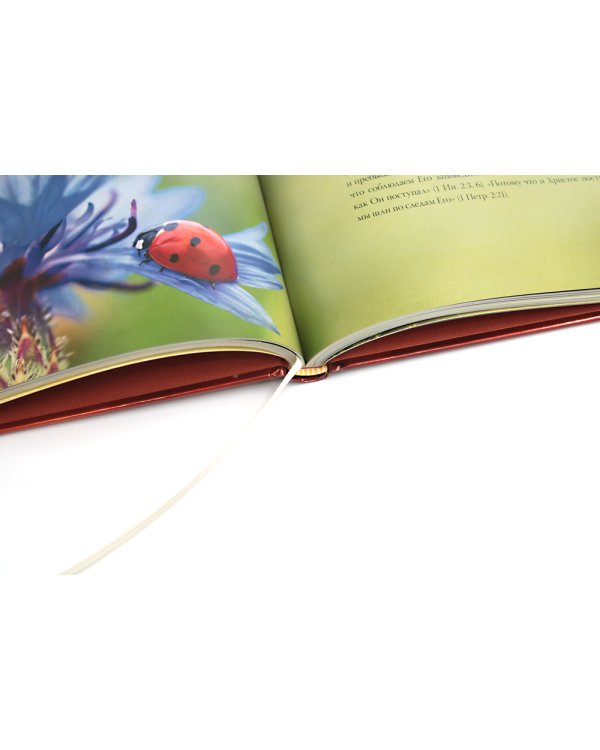 Путь ко Христу