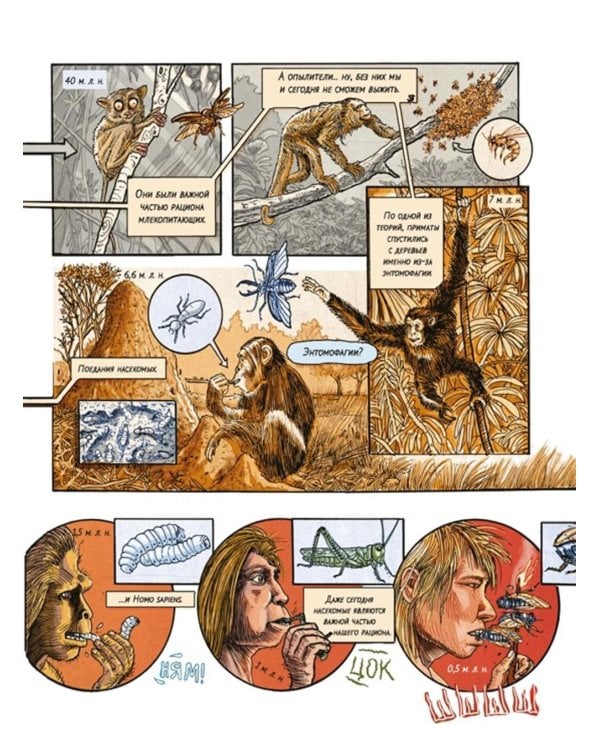 Инсектополис: история насекомых от Большого взрыва до наших дней