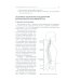 Система физических упражнений Пилатеса при дефектах осанки и последствиях заболеваний и травм Система физических упражнений Пилатеса при дефектах осанки и последствиях заболеваний и травм