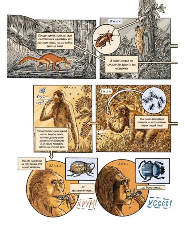 Инсектополис: история насекомых от Большого взрыва до наших дней