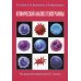 Клинический анализ гемограммы Клинический анализ гемограммы