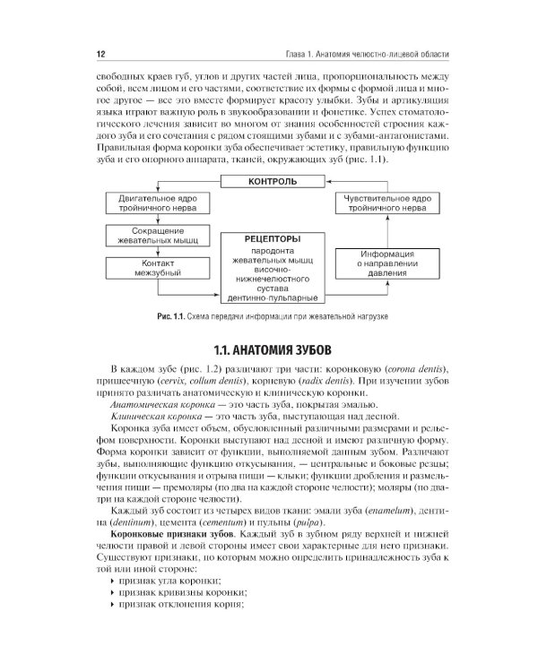 Основы челюстно-лицевого протезирования: Учебник