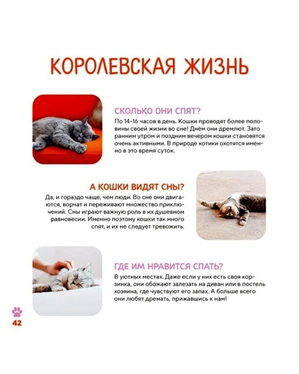 Моя первая книга о животных. 200 фотографий