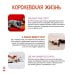 Моя первая книга о животных. 200 фотографий