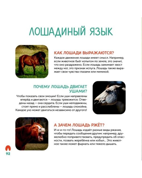 Моя первая книга о животных. 200 фотографий