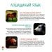 Моя первая книга о животных. 200 фотографий
