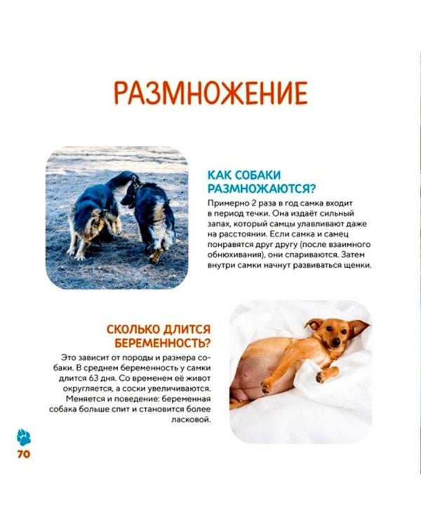 Моя первая книга о животных. 200 фотографий