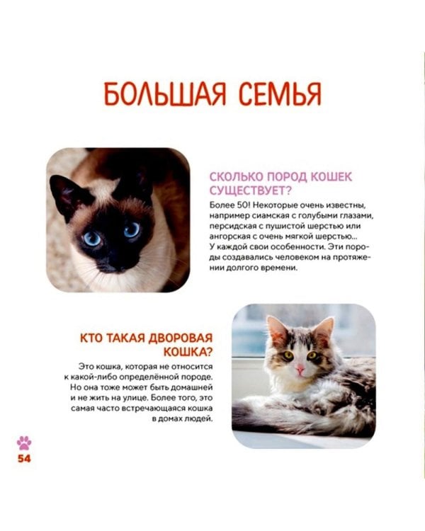 Моя первая книга о животных. 200 фотографий