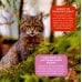 Моя первая книга о животных. 200 фотографий