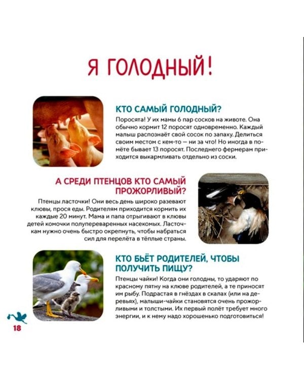 Моя первая книга о животных. 200 фотографий