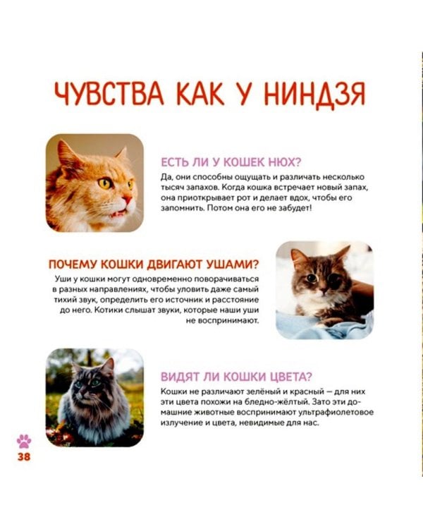 Моя первая книга о животных. 200 фотографий