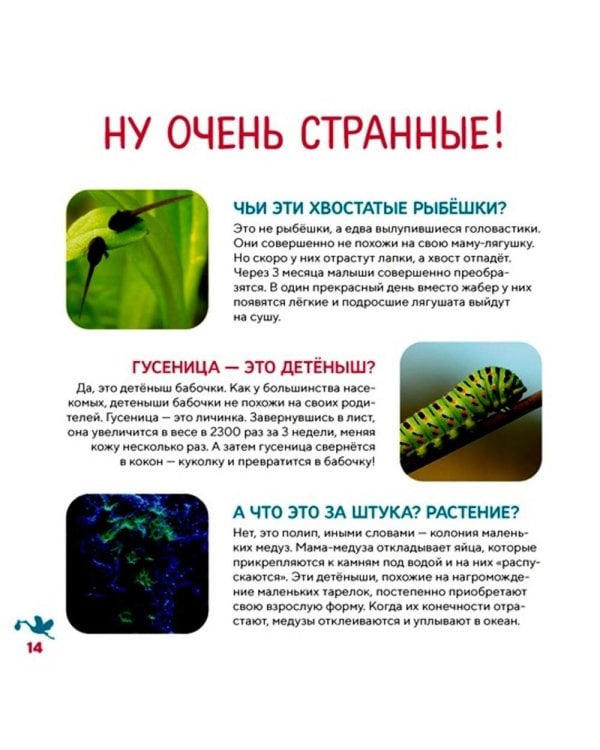 Моя первая книга о животных. 200 фотографий