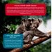 Моя первая книга о животных. 200 фотографий