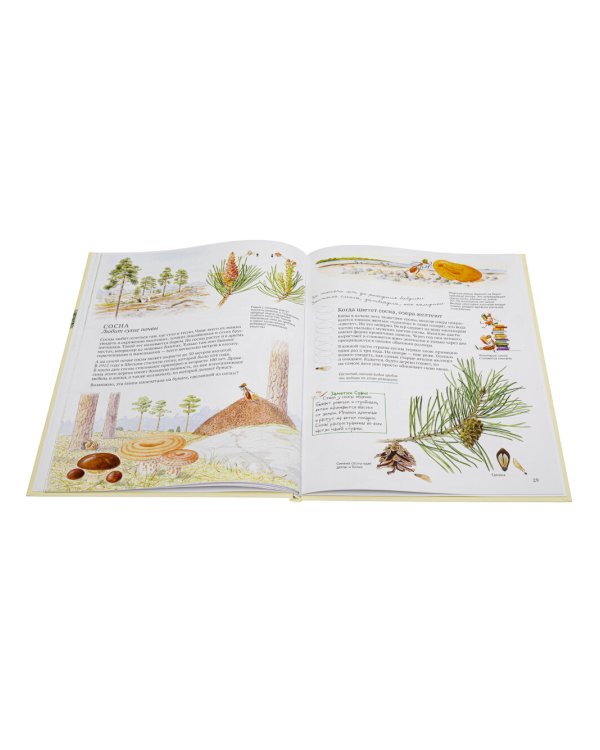 Софи в мире деревьев. Софи в мире цветов (комплект из 2-х книг)