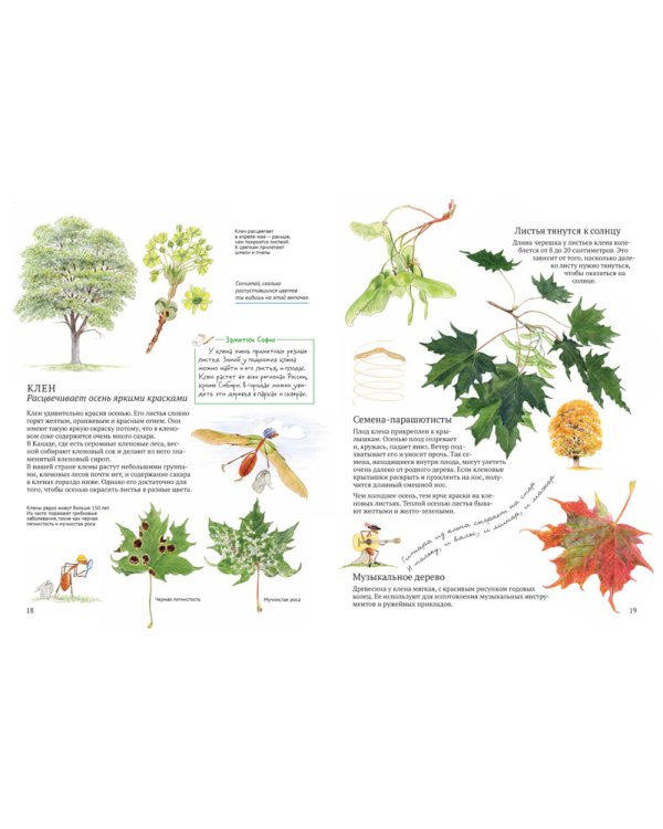 Софи в мире деревьев. Софи в мире цветов (комплект из 2-х книг)