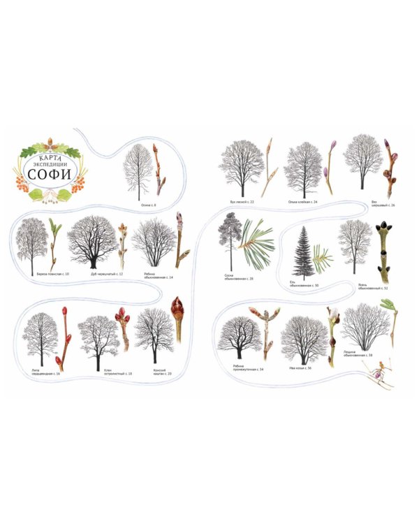 Софи в мире деревьев. Софи в мире цветов (комплект из 2-х книг)