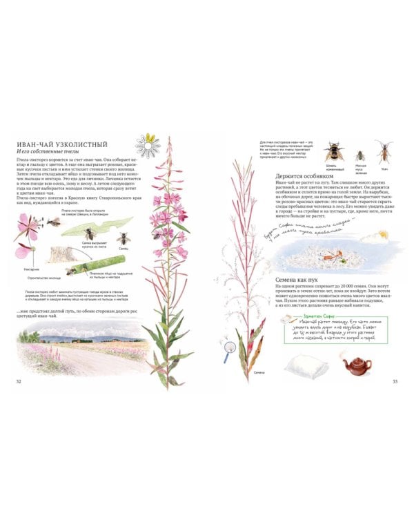 Софи в мире деревьев. Софи в мире цветов (комплект из 2-х книг)