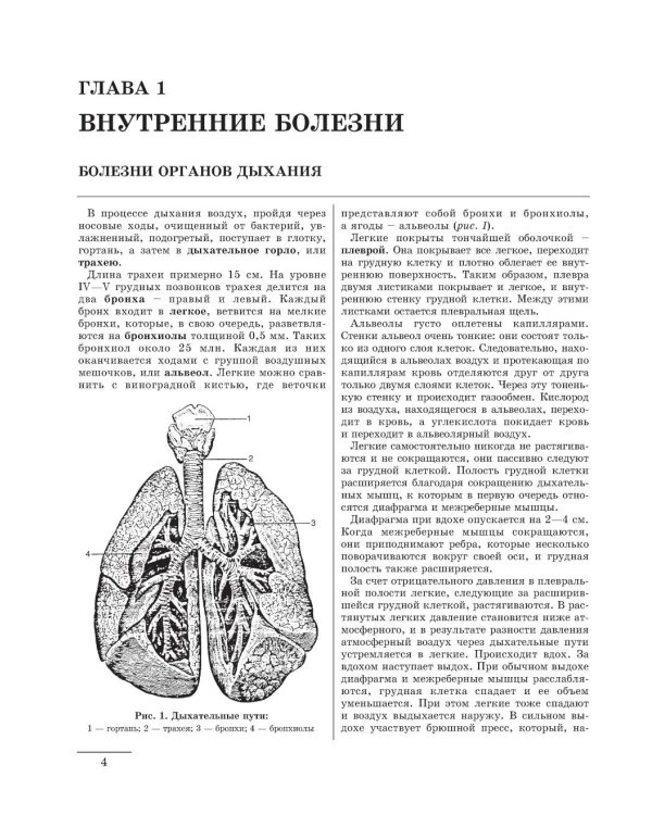 Большая медицинская энциклопедия