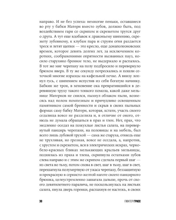 Собачьи годы
