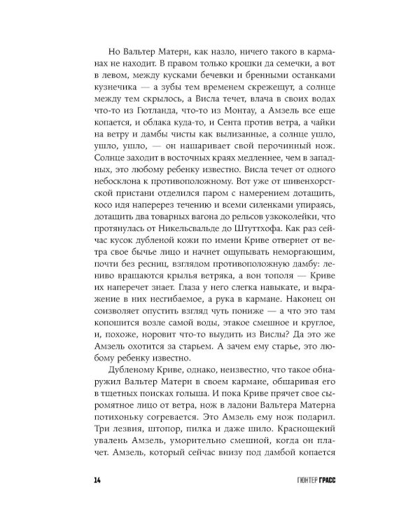 Собачьи годы