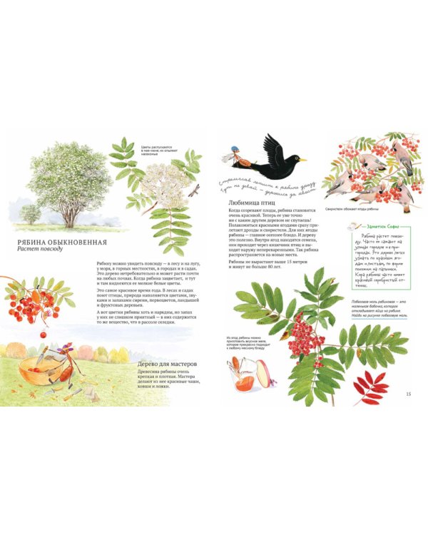 Софи в мире деревьев. Софи в мире цветов (комплект из 2-х книг)