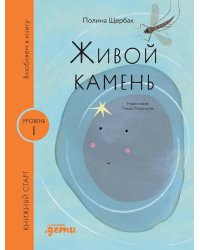 Живой камень. Уровень 1