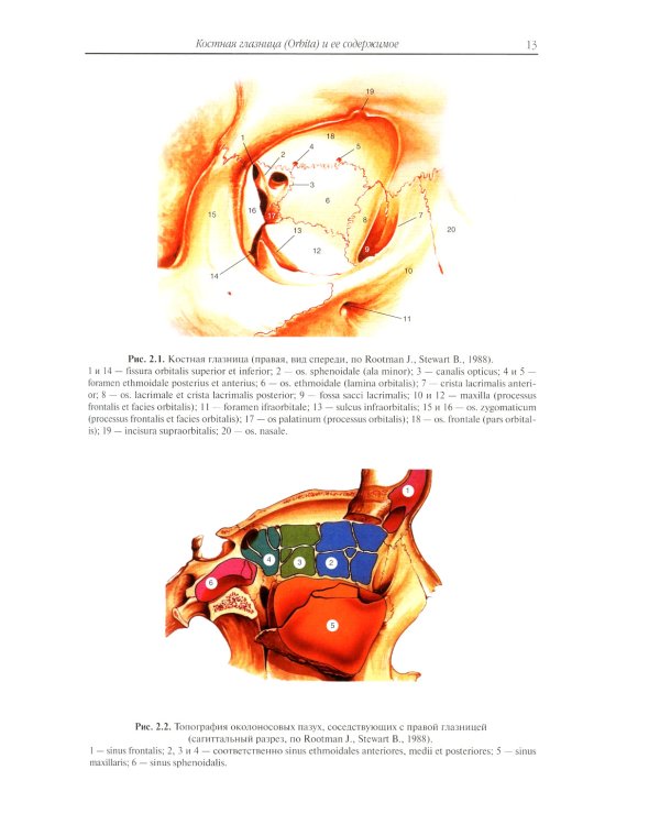 Клиническая анатомия органа зрения человека. 6-е изд