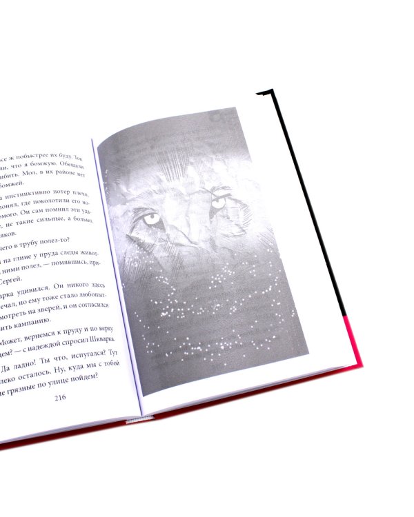 Опасный район; Мишка Зайчиков и Армия драконов (комплект из 2-х книг)