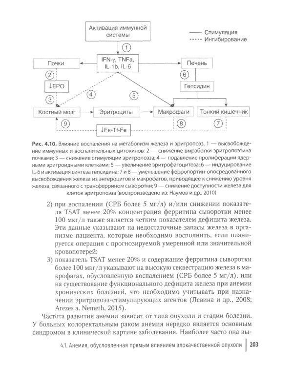 Клиническая феррология