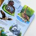 Дополнительное изображение книги «Мир животных: книжка с окошками»