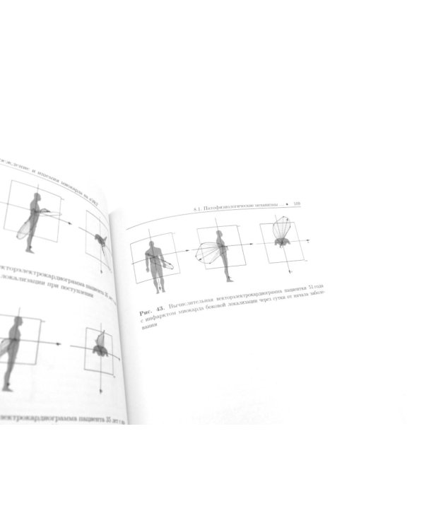 Основы вычислительной векторэлектрокардиографии и ее практическое применение: учебно-методическое пособие