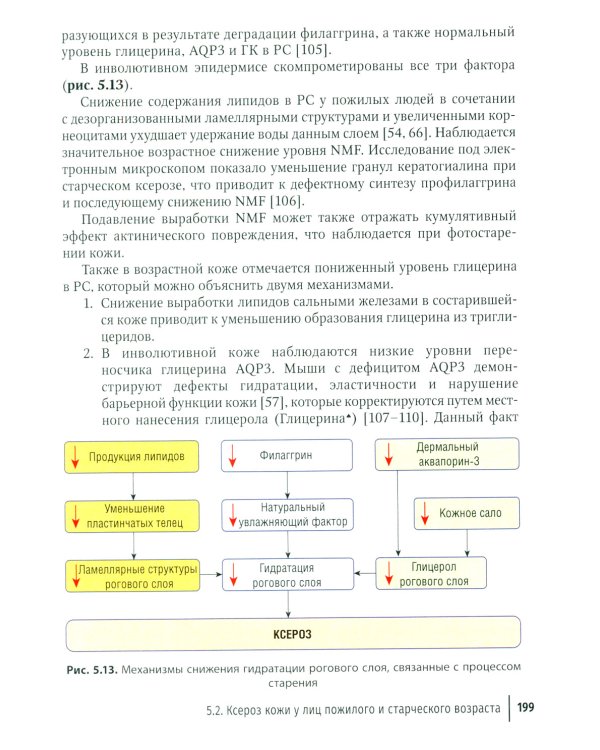Физиология и патология кожи. Ксероз кожи