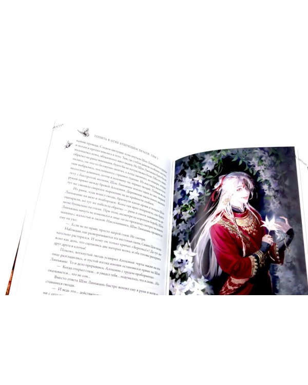 Топить в огне бушующем печали Т. 1-2 (комплект из 2-х книг)