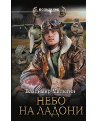 Небо в кармане!: Небо на ладони: роман