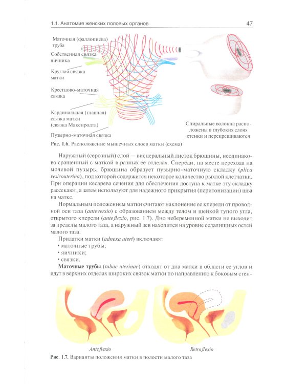 Акушерство. Учебник