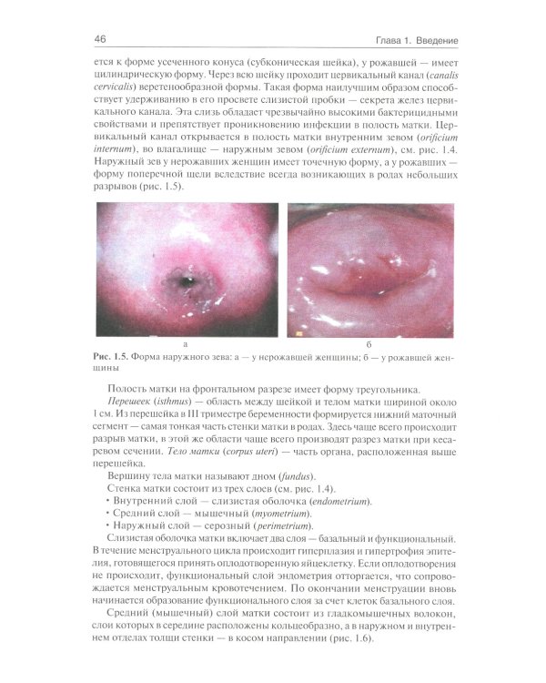 Акушерство. Учебник